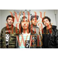 Pierce The Viel